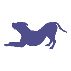 How Do Dogs Say “Hello” How Do Dogs Say “Hello”