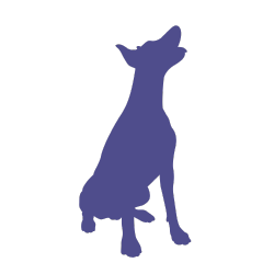 How Do Dogs Say “I Hate You” How Do Dogs Say “I Hate You”